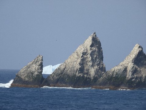 antarctica-shag-rock-2