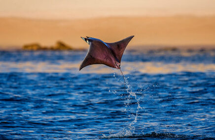 Sunlit Luxury in North America