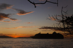 sunset view with cruise silhouette