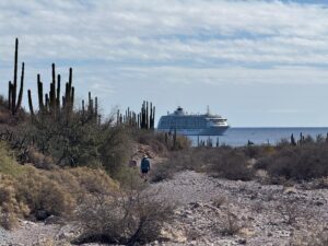 People walking on beach with cactus and The World ship in horizon