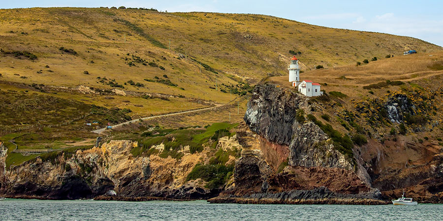 Historic Taiaroa Head Lighthouse at entrance to Otago Harbour, Port Chalmers, New Zealand