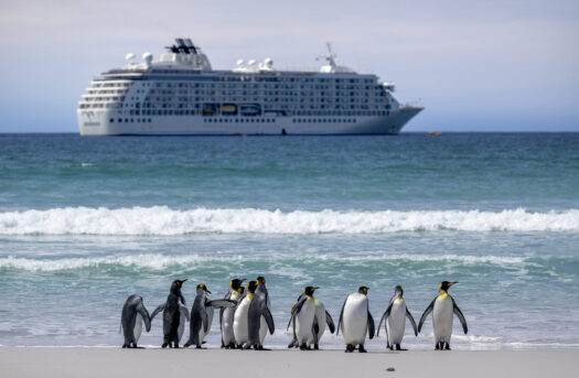 Ship Penguins Ship Penguins