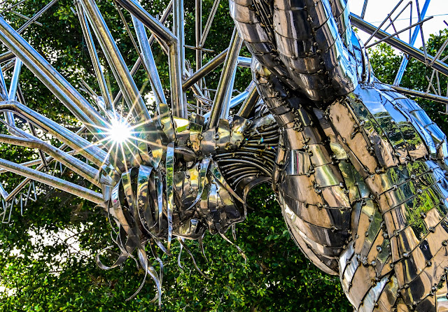 Chrome tree sculpture reflecting light