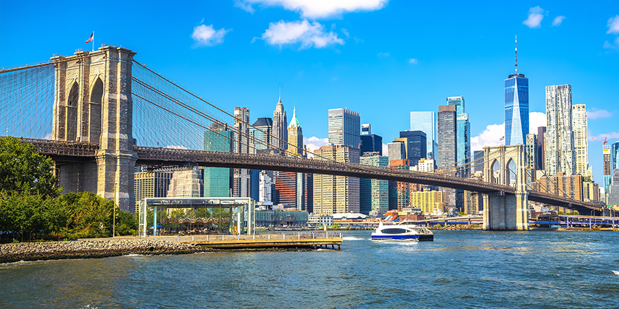 Bridge and city in the background