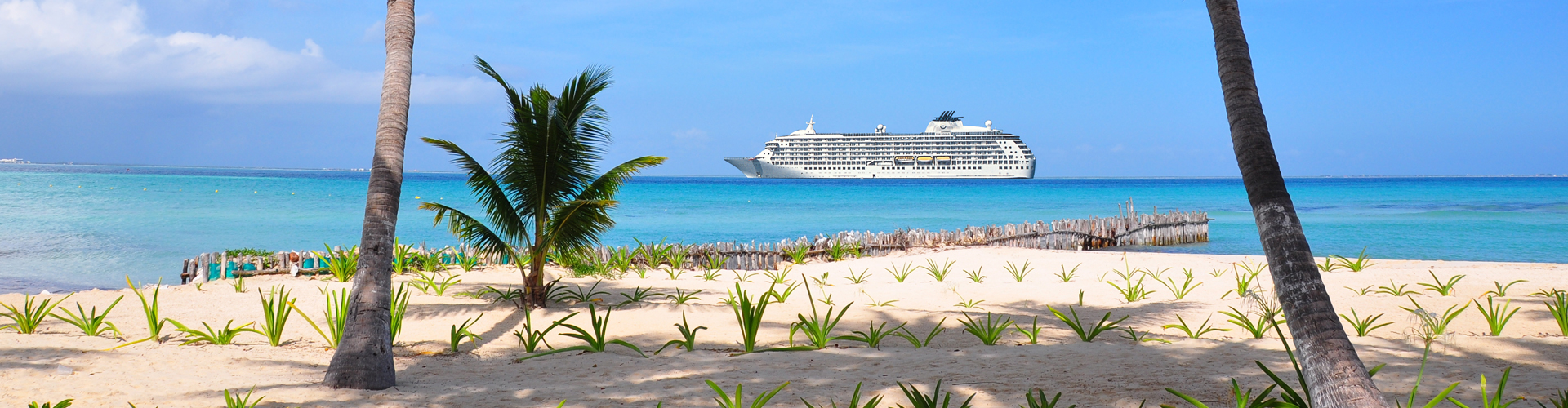 palm trees on a beach with the ship in the ocean in the background