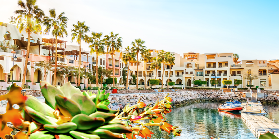 Lake and palm trees next to city