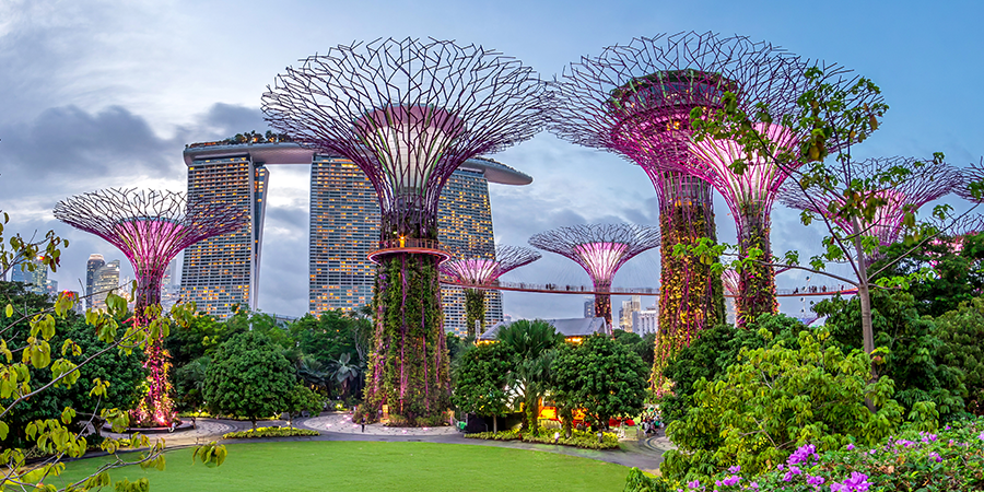 Fancy tree sculptures in Singapore