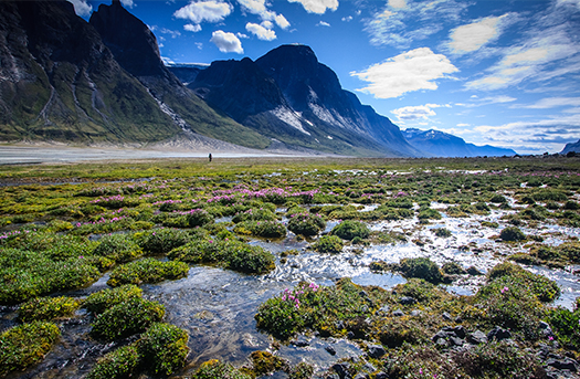 VikingsLeg2-Baffin Island Canada Marshes on Baffin island in Canada