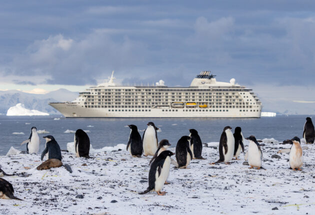 penguins on ice with ship in background in Cape Adare